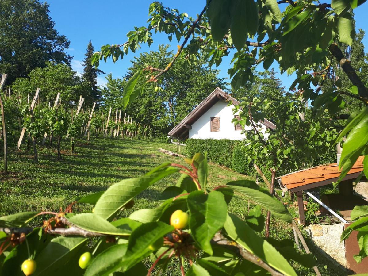 Cesargradska Klet * Tuhelj