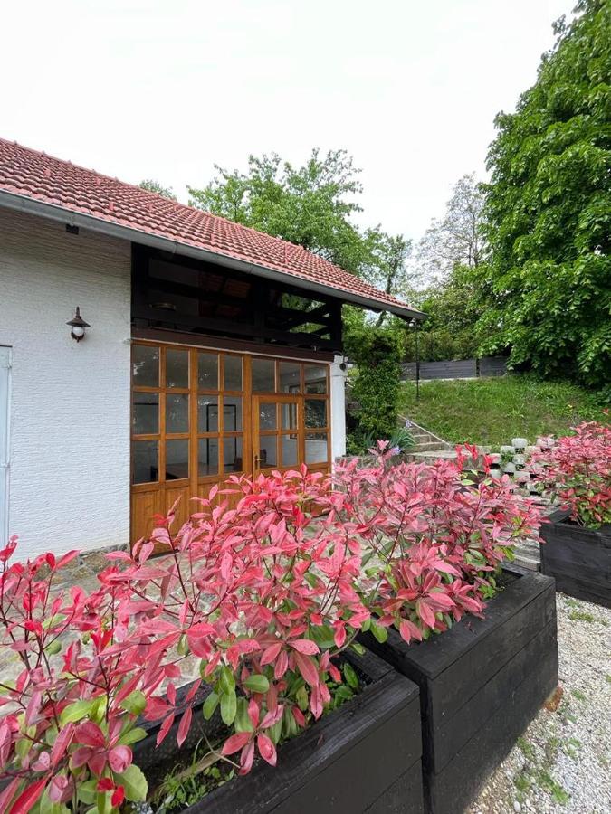 Apartment Cesargradska Klet *